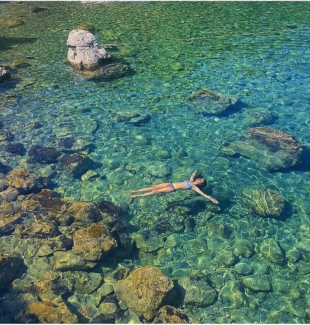 Ogün Tur